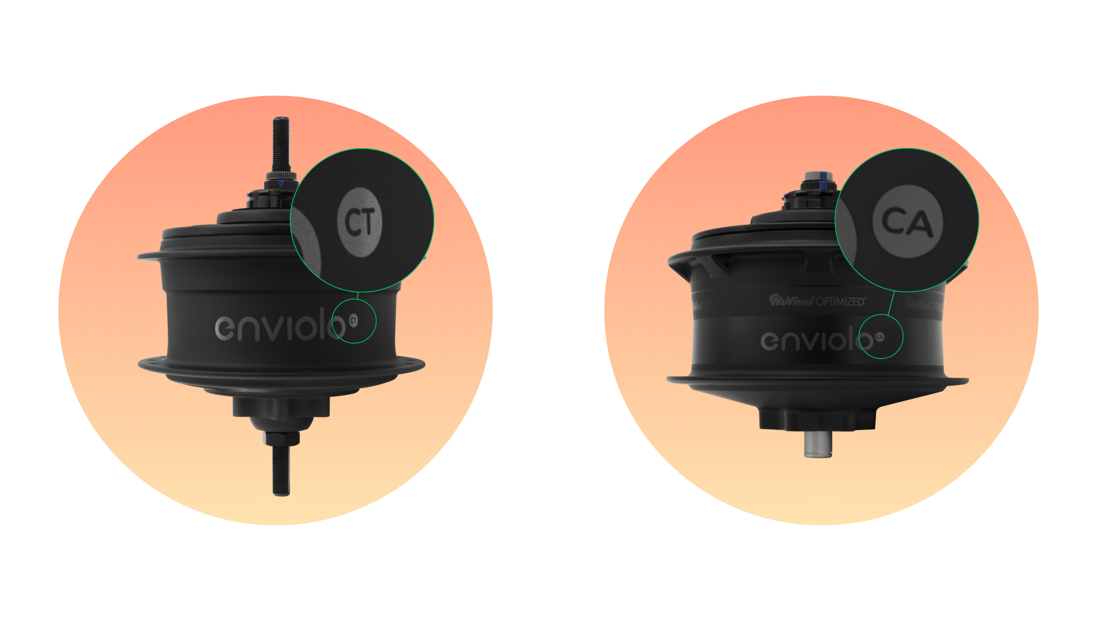 double FV (1).png